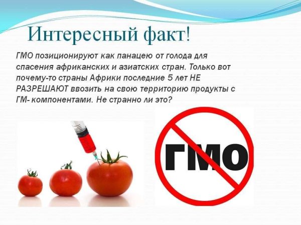 Проект на тему ГМО