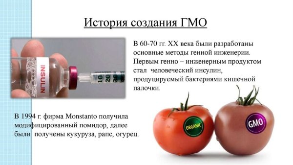 Минусы ГМО