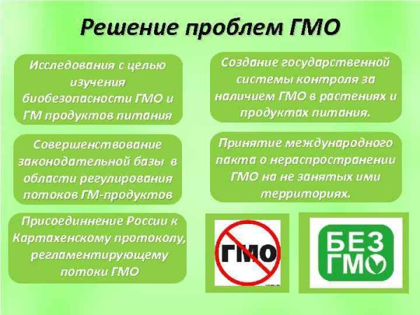 Генномодифицированные организмы