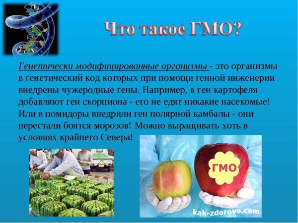 Трансгенные и генетически модифицированные продукты