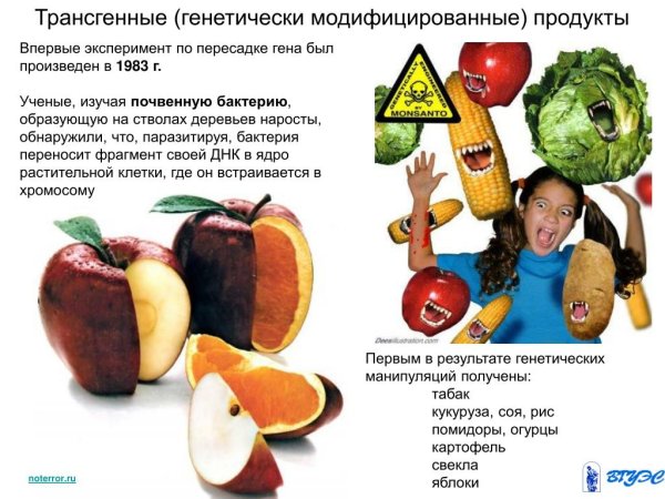Продукты с ГМО рисунок