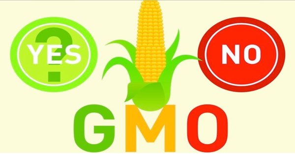 ГМО презентация