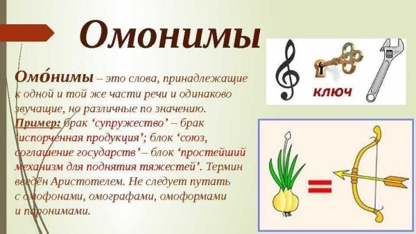 Рисунок на тему омонимы