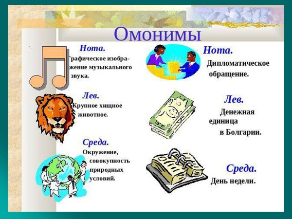 Омонимы надпись