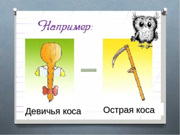 Слова омонимы примеры