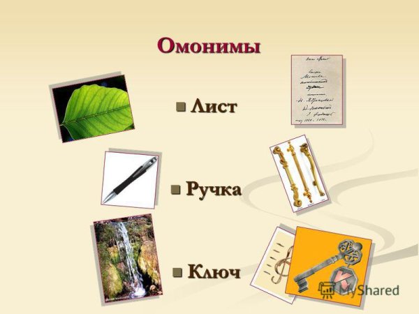 Презентация на тему омонимы