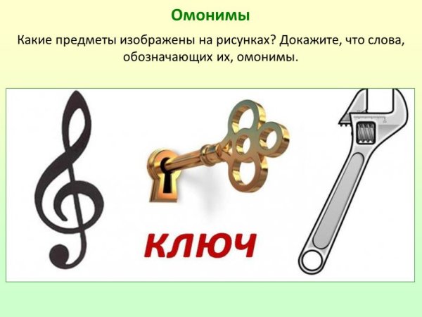 Слова омонимы