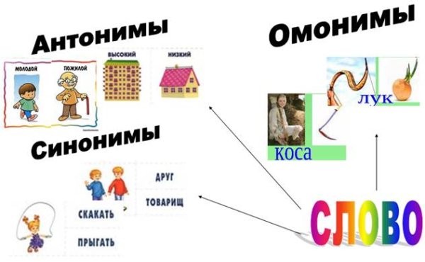 Слова омонимы