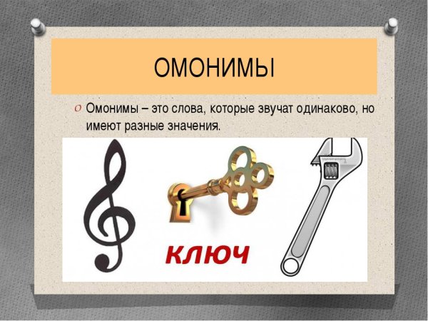 Слова омонимы примеры