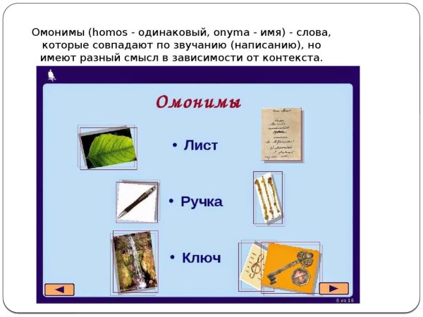 Тема омонимы 3 класс