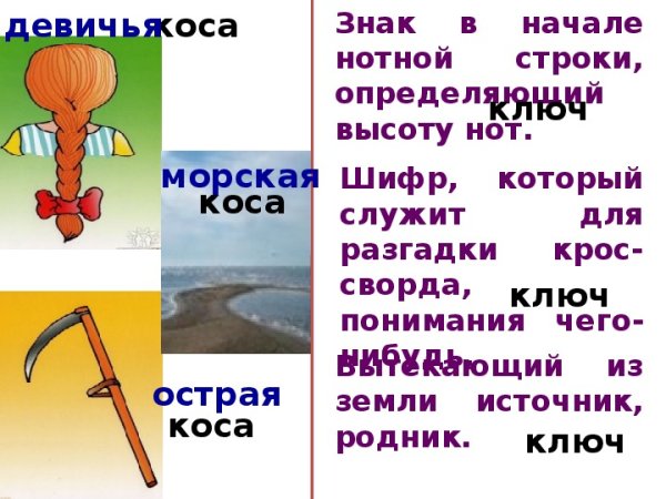 Коса омонимы