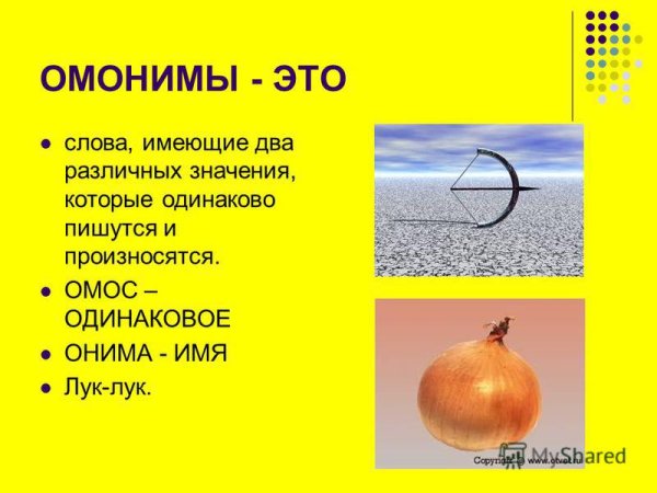 Слова омонимы примеры