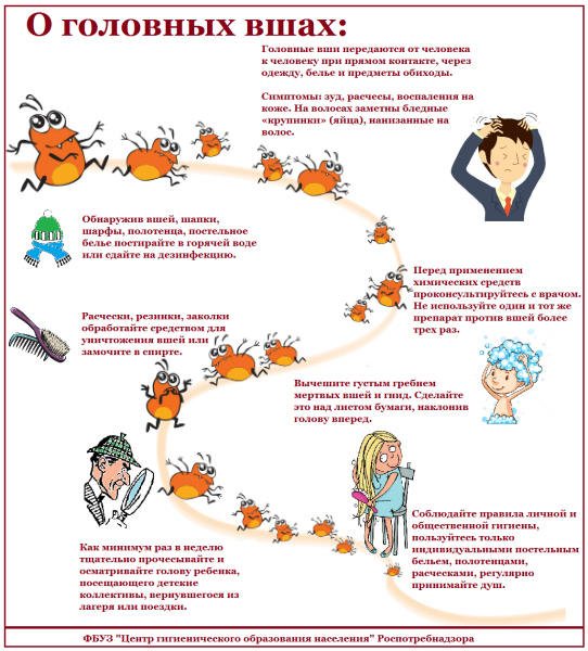 Консультация педикулёз для родителей в детском