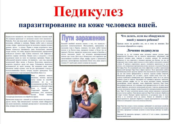 Памятка по педикулезу для родителей в детском саду