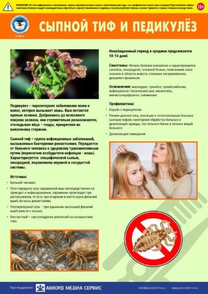 Профилактика сыпного тифа