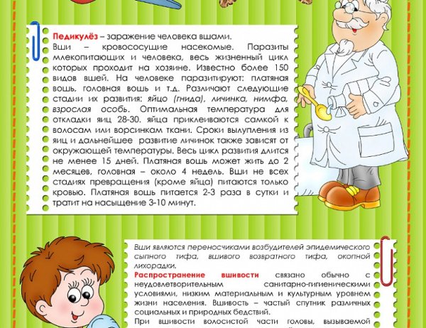 Профилактика педикулеза в детском саду