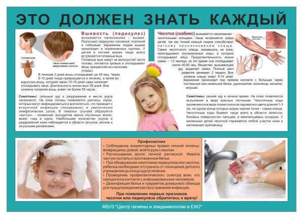 Памятка педикулез и чесотка