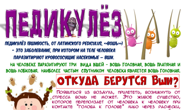 Памятка по педикулезу
