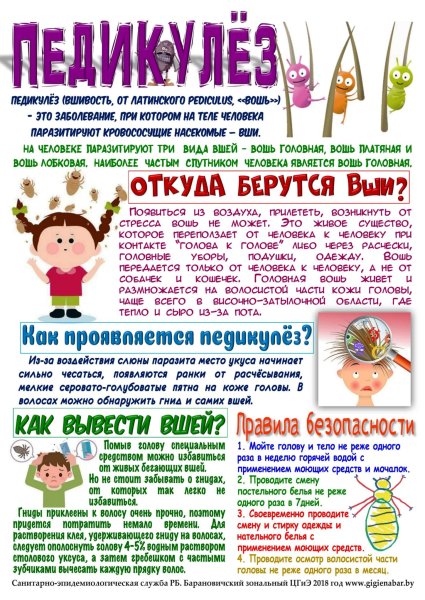 Санбюллетень чесотка и педикулез