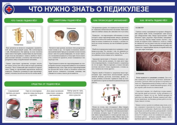 Санбюллетень педикулез у детей