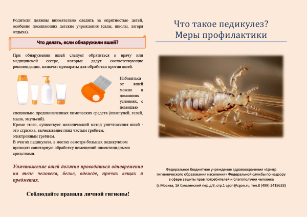 Памятку для пациента по профилактике педикулеза.