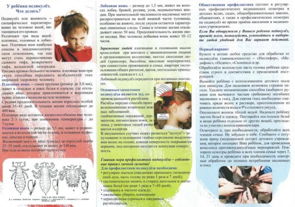 Профилактика педикулеза памятка для детей