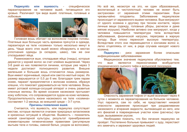 Памятка педикулез и его профилактика
