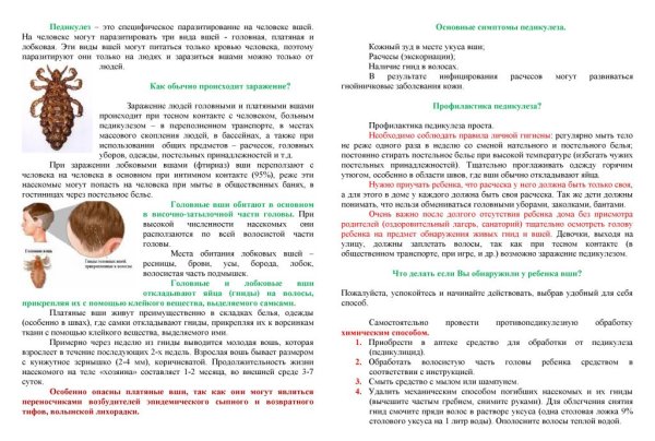 Профилактика педикулеза и чесотки памятка
