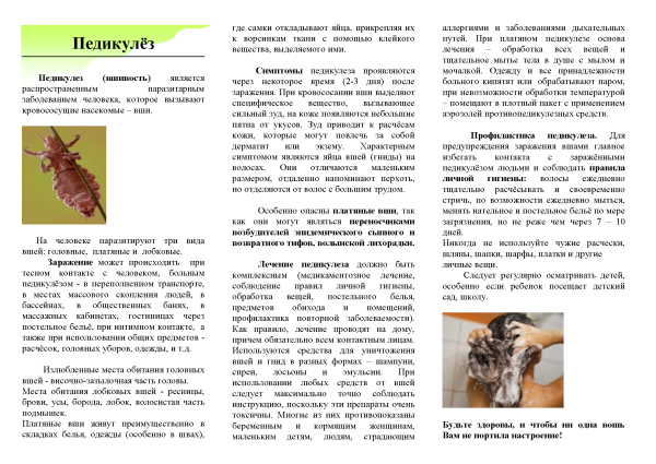Профилактика педикулеза и чесотки буклет