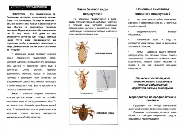 Педикулез и чесотка кратко