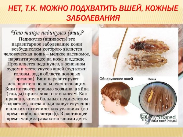Профилактика педикулеза и чесотки