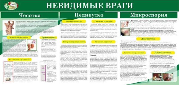 Санбюллетень чесотка и педикулез