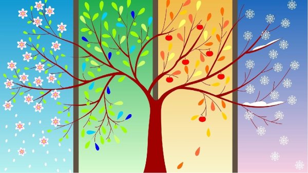 Дерево сезонов
