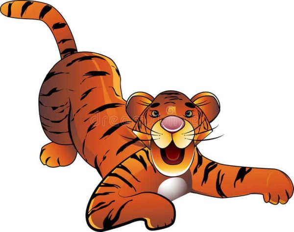 Карточки Тигренок на белом фоне