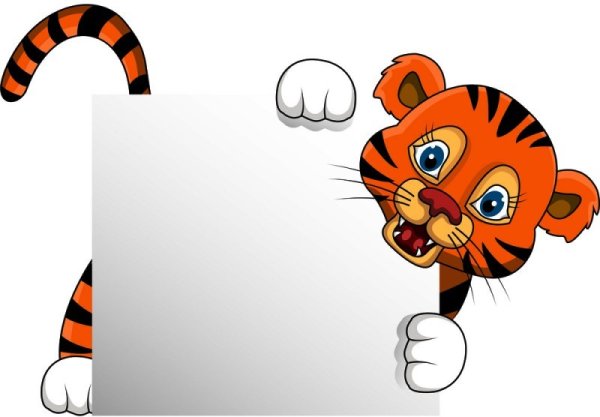 Тигр выглядывает