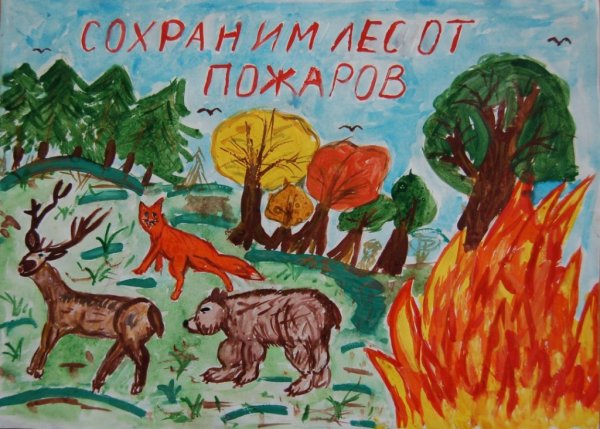 Плакат береги лес от пожара