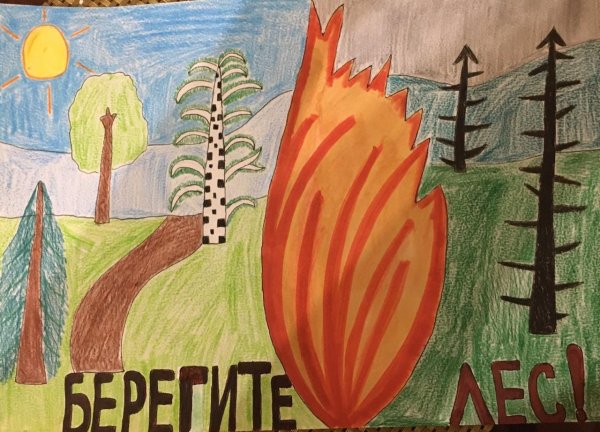 Плакат на тему берегите лес