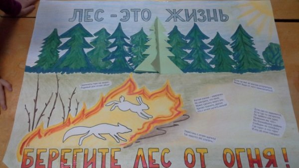 Береги лес от пожара рисунки