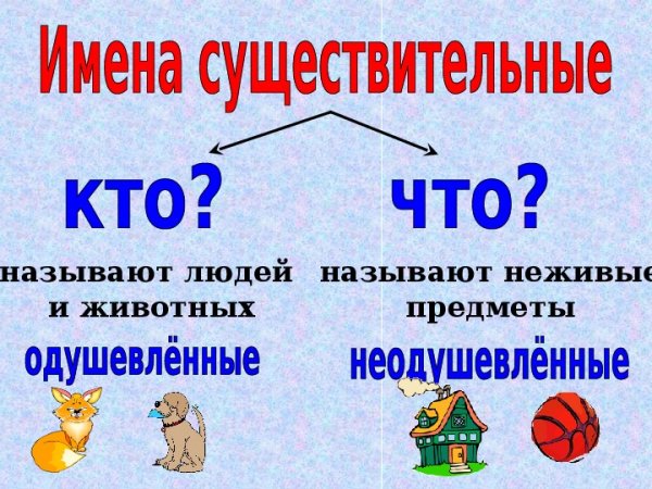 Имя существительное 2 кл