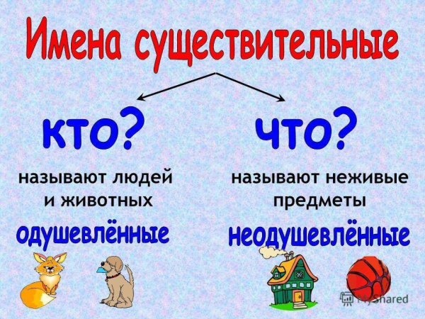 Падежи русского языка