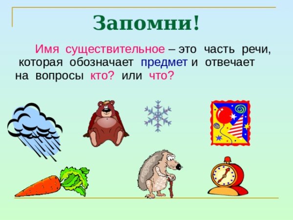 Имя существительное склонение