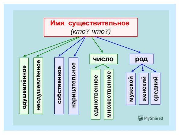 Интересная наглядность по русскому языку