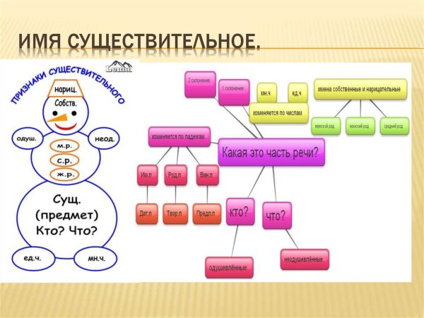 Имя существительное