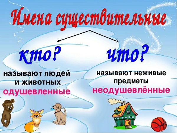 Путешествие по стране знаний