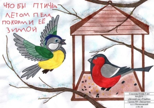 Листовка на тему берегите птиц