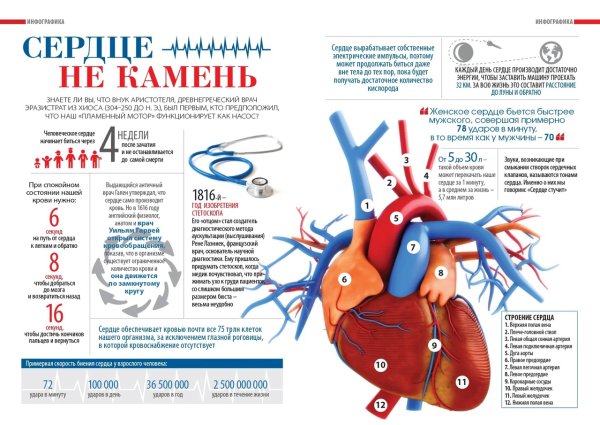 Плакат мы против курения