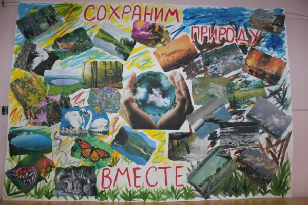 Коллаж на тему экология