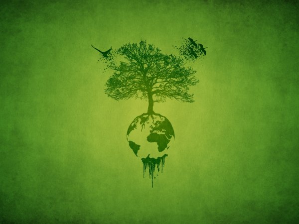 Экология Графика