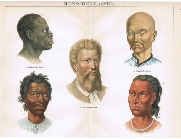 Представители всех рас