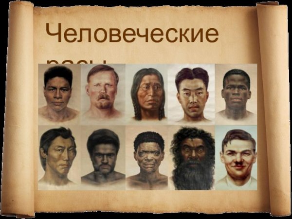 Человеческие расы